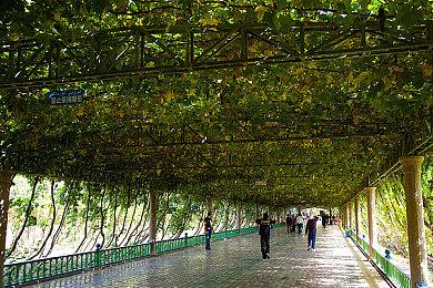 存在十几年的《军团要塞2》老BUG突然被修复了